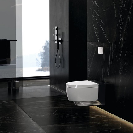 ��������� ������-���� GEBERIT AquaClean Mera Comfort 146.214.21.1 (������������� �������)
