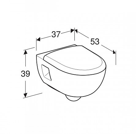 �������� �� ���������� ������������� ������� Geberit Renova T54 Rimfree (203070) c �������� � ������������� ������� � ����������� 500.800.00.1